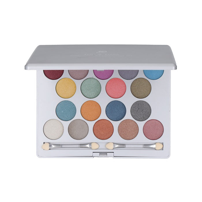 Professional Eyeshadow Kit
