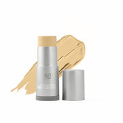 TV Paint Stick