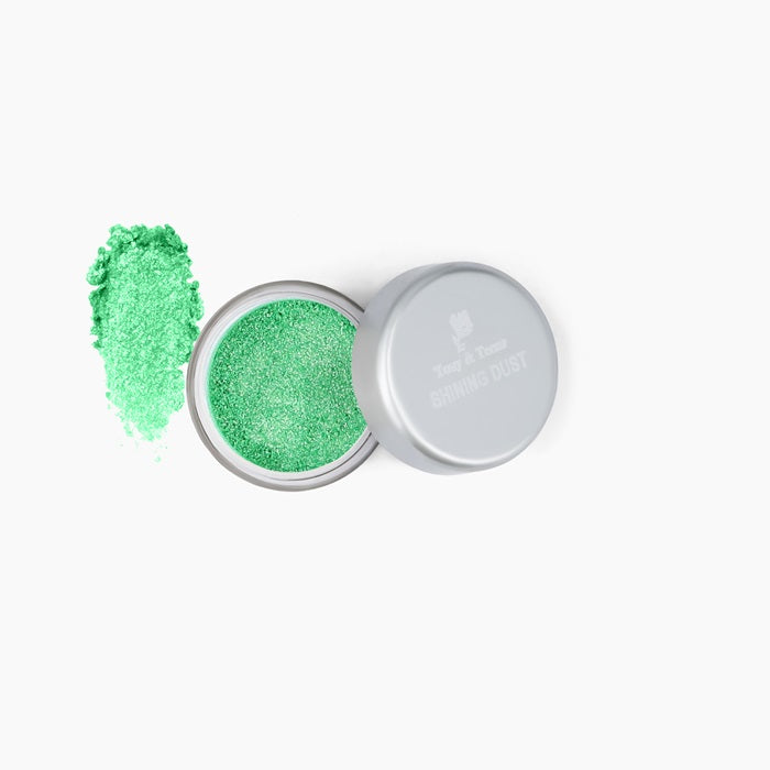 Shining Dust Loose Glitter Powder