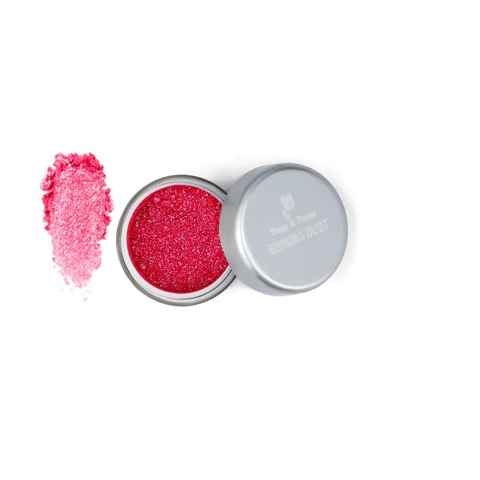Shining Dust Loose Glitter Powder