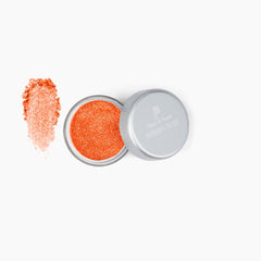 Shining Dust Loose Glitter Powder
