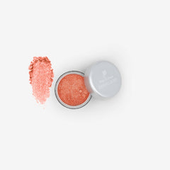 Shining Dust Loose Glitter Powder