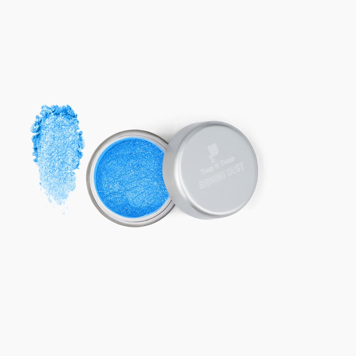 Shining Dust Loose Glitter Powder