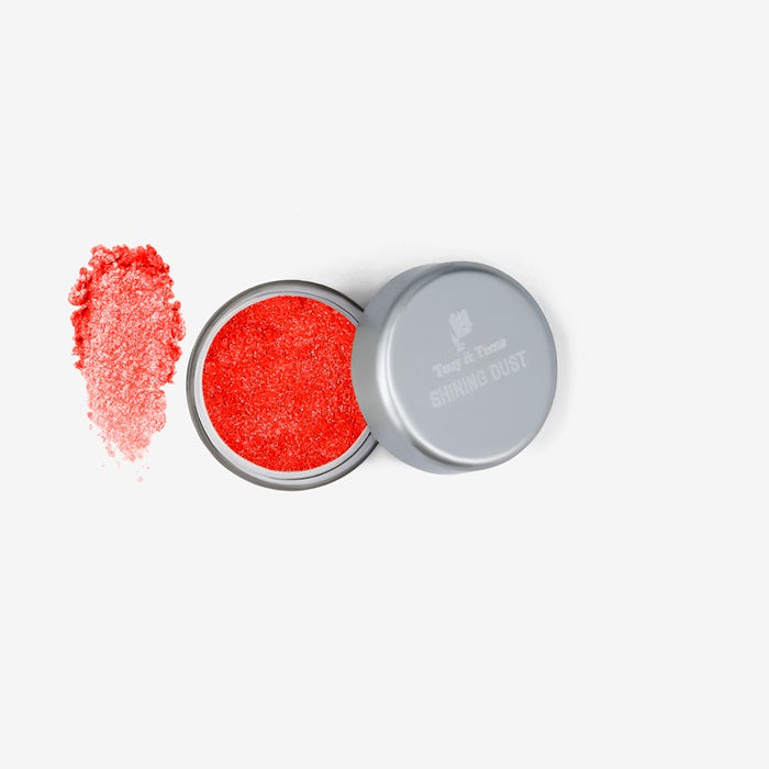 Shining Dust Loose Glitter Powder