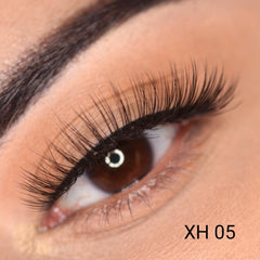 Lashes Vol 1. (Everyday Edition)