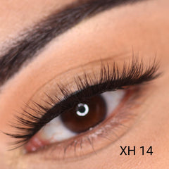 Lashes Vol 1. (Everyday Edition)