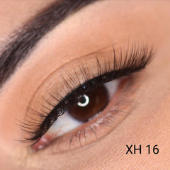 Lashes Vol 1. (Everyday Edition)