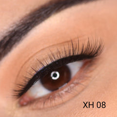 Lashes Vol 1. (Everyday Edition)